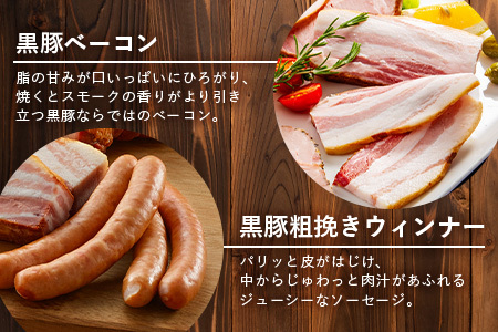 鹿児島県産 黒豚ギフト6点セット (合計約910g) NS-7 | 肉 お肉 豚肉 ぶた 豚 ブタ 黒豚 生ハム 焼豚 モモハム ベーコン ロースハム ウィンナー ソーセージ おかず おつまみ 国産 冷蔵 ギフト 鹿児島県 南大隅町 南州農場