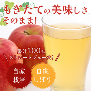 りんご ジュース セット 30本 × 180ml 大町産 大町産 箱入り りんごジュース 長野 信州