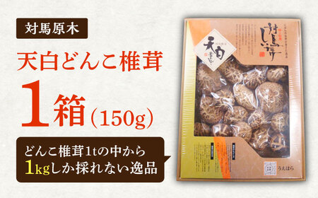 対馬 原木 天白どんこ椎茸 1箱（150g）《対馬市》【うえはら株式会社】 対馬産 肉厚 しいたけ 乾燥 きのこ[WAI119]