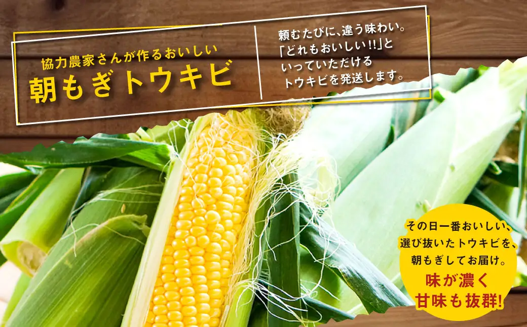 きたいろトマト （2.1kg）と 朝もぎトウキビ （21本）のセット 【2026年8月上旬～9月上旬発送予定】 トマト とうもろこし トウモロコシ 野菜 朝採れ オーガニック