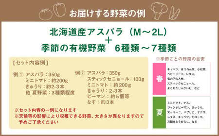 北海道産アスパラと季節の有機野菜セット 【2026年4月下旬～8月下旬迄発送予定】 北海道 北広島市 野菜セット アスパラ 有機野菜 