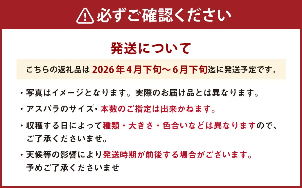 アスパラ 約1.6kg M～2L 【2026年4月下旬～6月下旬迄発送予定】