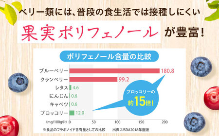 健康道場 4つのベリーの恵み 160g×30本[AOAD052]健康飲料