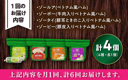 【全6回定期便】ベトナムハム Lサイズ 4種セット / ハム ベトナム料理 [BBBE014]