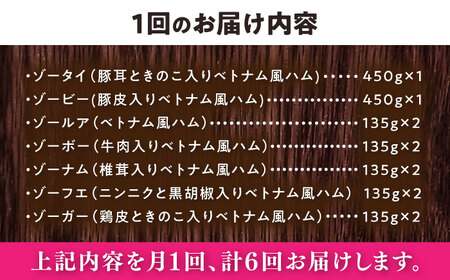 【全6回定期便】ベトナムハム オールスターセット / ハム ベトナム料理 [BBBE017]