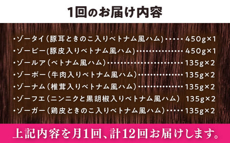 【全12回定期便】ベトナムハム オールスターセット / ハム ベトナム料理 [BBBE018]