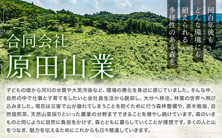茶 自然栽培茶 煎茶リーフ ほうじ茶リーフ の HARIO （ハリオ） フィルターインボトル の セット 計4袋 ＋ 1本 合同会社原田山業《90日以内に出荷予定(土日祝を除く)》 熊本県 菊池市 煎茶 ほうじ茶 茶葉 ボトル付き 自然栽培 水出し フィルター ボトル