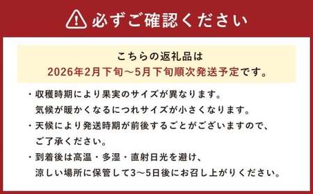 A274 霜降りトマト 1箱（12玉から23玉 1kg以上）【2026年2月下旬～5月下旬まで順次発送予定】 とまと トマト 霜降り 野菜