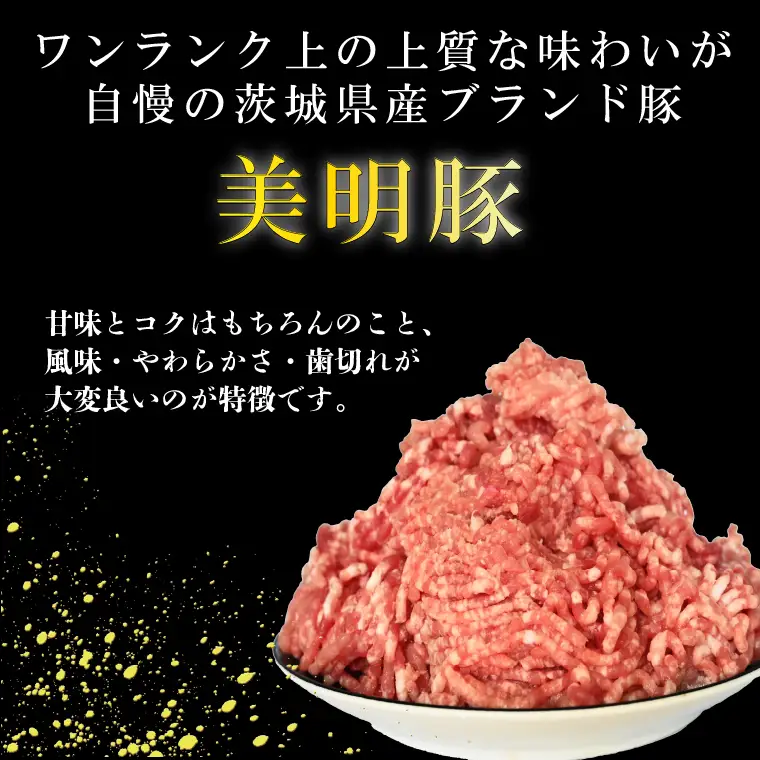 【選べる内容量・真空パック】 国産豚肉 豚ひき肉 1kg ( 500g × 2p ) 「 美明豚 」 （茨城県共通返礼品・行方市産） ブランド豚 銘柄豚 豚 豚肉 肉 豚挽肉 豚挽き肉 挽肉 ひき肉 豚ミンチ ミンチ ハンバーグ 小分け 真空パック 国産 冷凍_DS010