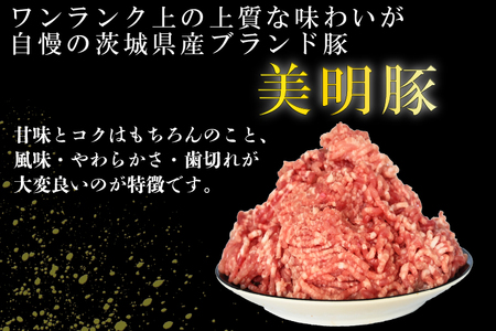 【選べる内容量・真空パック】 国産豚肉 豚ひき肉 2kg ( 500g × 4p ) 「 美明豚 」 （茨城県共通返礼品・行方市産） ブランド豚 銘柄豚 豚 豚肉 肉 豚挽肉 豚挽き肉 挽肉 ひき肉 豚ミンチ ミンチ ハンバーグ 小分け 真空パック 国産 冷凍_DS011