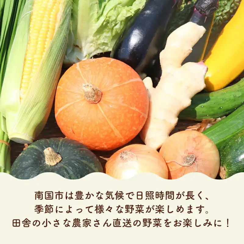 【6回定期便 野菜】南国土佐の季節の野菜セット