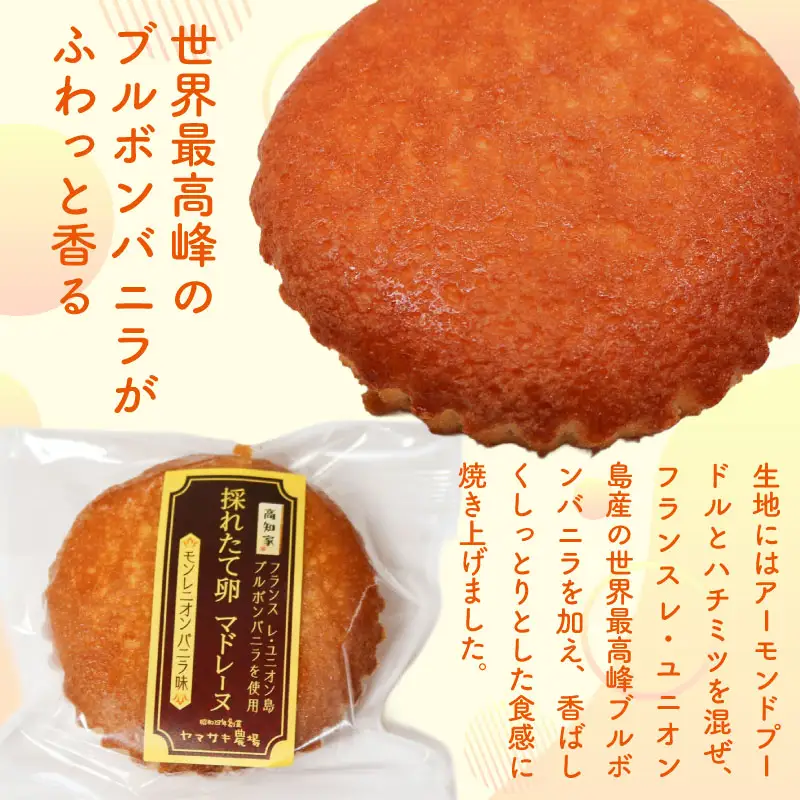 【焼き菓子】マドレーヌ モンレニオンバニラ 5個入 洋菓子