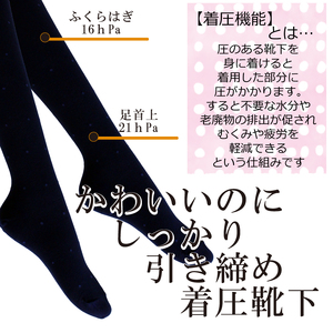 【フラワーレッグスシリーズ】着圧ソックス 水玉柄 FW-HS01 3L-4L ネイビー【GFM216】
