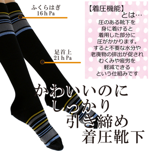【フラワーレッグスシリーズ】着圧ソックス マルチボーダー柄 FW-HS03 M ネイビー【GFM234】
