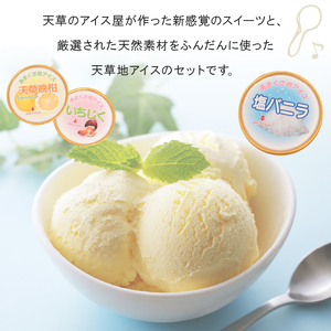 S030-001A_地アイス詰め合せ 12個(塩バニラ・モリンガ等、季節の地アイス)　/ アイス アイスクリーム 冷凍アイス 地アイス