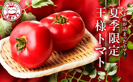 王様 トマト 贅沢 セット M001-003 野菜 三浦野菜