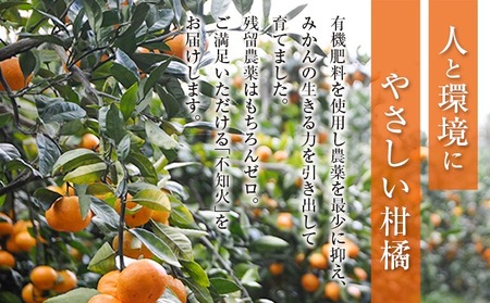 オンライン決済限定 不知火 計4kg以上 傷み補償分入り_AAV11-25