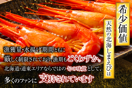 【北海道根室産】北海しまえび250g×2P(計22～32尾)[8月上旬以降発送] B-20013