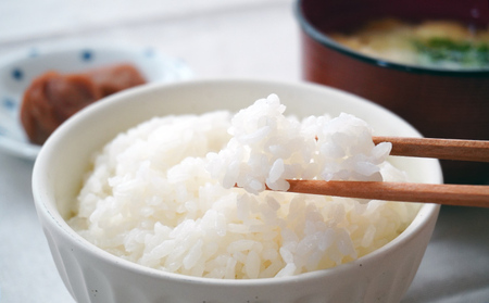 G-158【農薬・化学肥料不使用】循環農法で育てた自然の恵みいっぱいの『たから米(白米５キロ)』