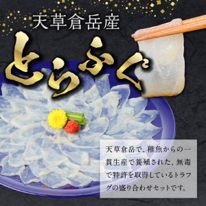 S033-001_とらふぐ宅配セット 4～5人前(刺し身・ちり・本皮・焼きヒレ) / ふぐ フグ 河豚 とらふぐ