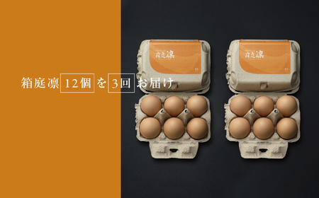 【定期便3回】コクはあるのに後味はすっきり 箱庭たまご 「箱庭凛」 12個 