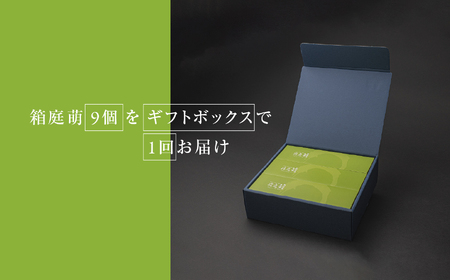 懐かしさを感じる 箱庭たまご 「箱庭萌」 9個 ギフトボックス
