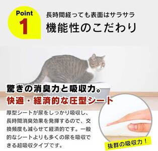 猫ちゃん専用シート システムトイレ用 36枚入×8袋セット _ ペットシーツ 36枚入 × 8袋 セット 各社共通サイズ 約29cm × 43cm 猫用 ユッカ抽出物 強力消臭 厚型シート 抜群 吸収力 漏れにくい シンプル 使いやすい 愛猫 猫 日用品 消耗品 ペット用品 福岡県 久留米市 送料無料  〔Qx079〕
