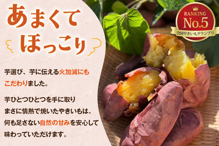 【期間限定発送】 焼き芋 「元気が出るやきいも（フローズン）」紅はるか 500g 冷凍 [うみとやきいもラッキーズ 静岡県 吉田町 22424682]