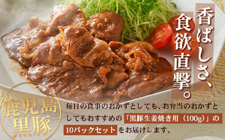 鹿児島県産 黒豚生姜焼きセット（100g×10パック）味付き肉 冷凍 NS-23 | 鹿児島 黒豚 かごしま黒豚 お肉 肉 豚肉 しょうが焼き 焼くだけ 味付き おかず お弁当 加工肉 真空パック 鹿児島県 南大隅町 南州農場