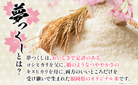 令和7年産 金のめし丸夢つくし精米2kg 夢つくし お米 米 ごはん ご飯 森光商店 老舗 福岡 お弁当 おにぎり 金のめし丸県産米 福岡ブランド米 めし丸 志免 志免町 福岡県