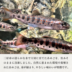 川魚 あめご 天魚 8尾 800g前後 あまご【 川魚 】