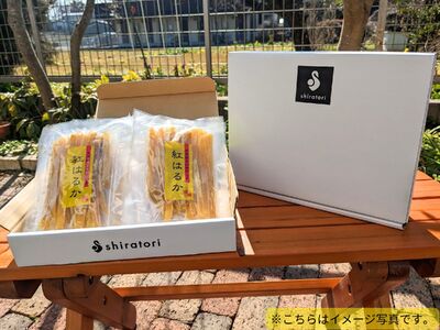干し芋（スティックタイプ）訳あり品　1kg（100g×10パック）