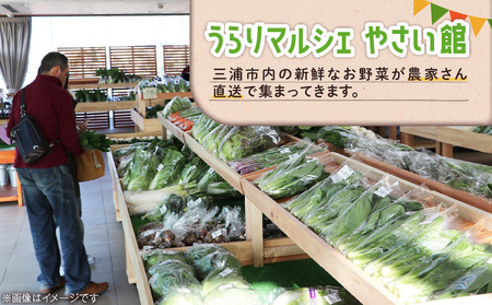 産直センターうらりマルシェ　 旬の三浦産物セット M033-002 野菜 三浦野菜