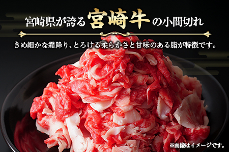 宮崎牛 小間切れ 便利な小分け 200g×10P 計2kg 人気 冷凍 国産【E246】