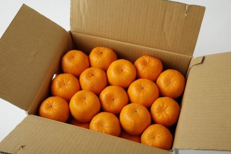 S040-006A_農家の手摘み天草ポンカン 約5kg〈先行受付〉/ ポンカン ぽんかん 柑橘 みかん フルーツ