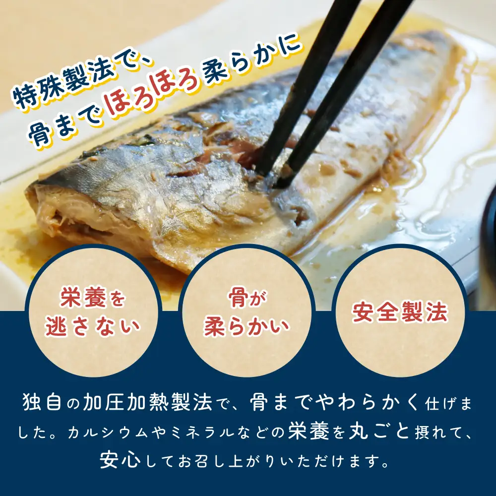骨まで食べられるさかな 煮魚6袋セット（3種×各2袋）｜鳥取 岩美 魚 焼魚 煮魚 長期保存 【24056】