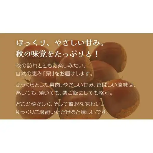 秋の味覚「 栗 」2kg 【2026年9月上旬発送開始】(茨城県共通返礼品：大子町)