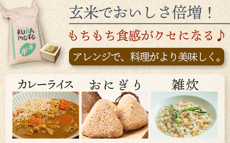【 令和7年産米】 多良木町産 ヒノヒカリ 玄米 20kg 10月中旬～発送予定 116-0502