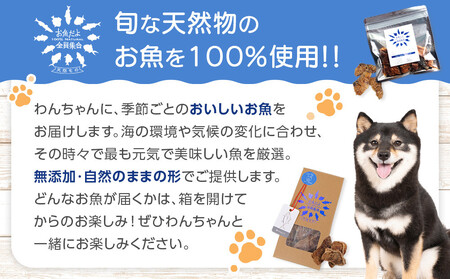 お魚だよ全員集合　季節のアソートセット 5,000円セット　ワンちゃん用｜ペット おやつ 犬 ペットフード
