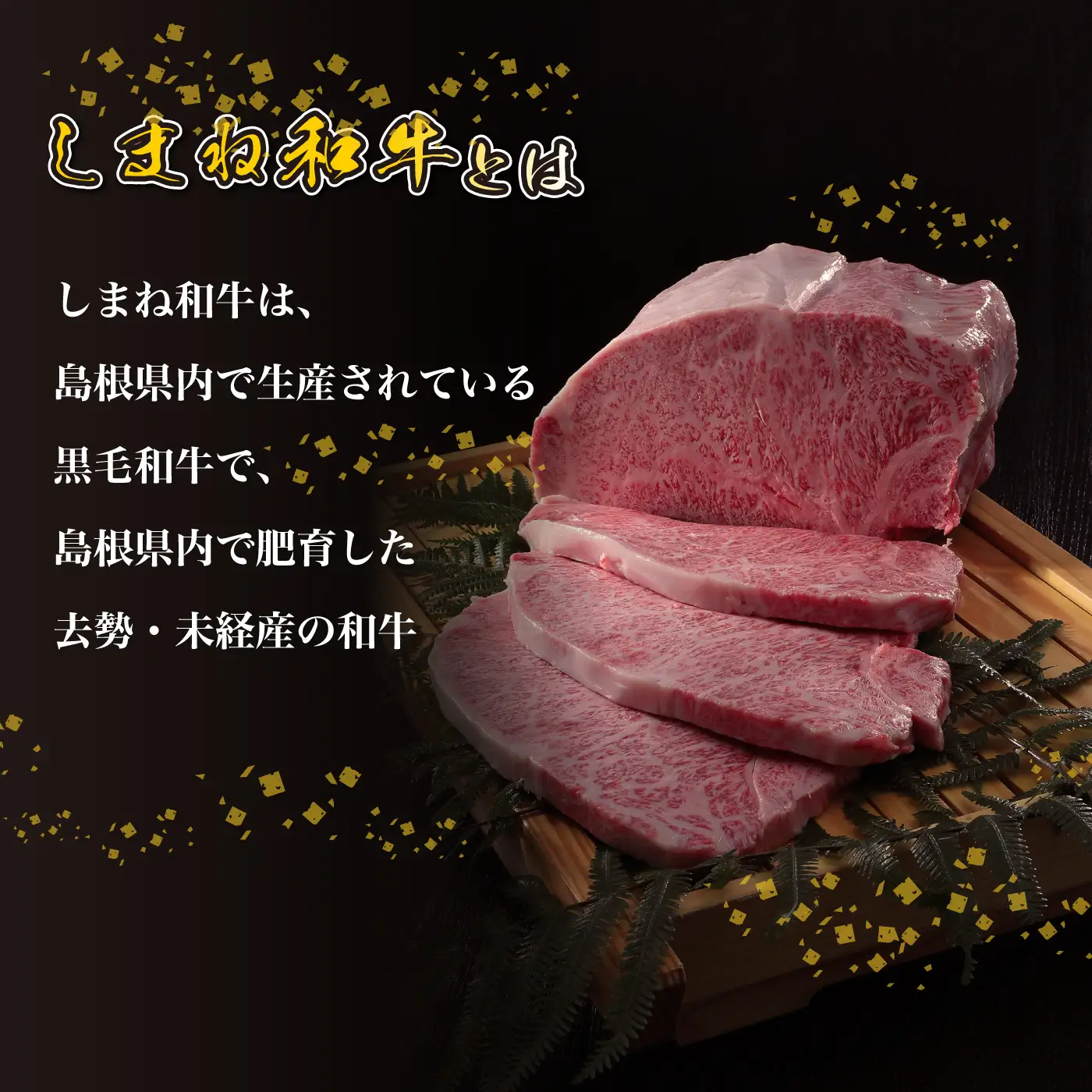 【黒毛和牛】しまね和牛　焼肉用セット 560g（かた280g・バラ280g）