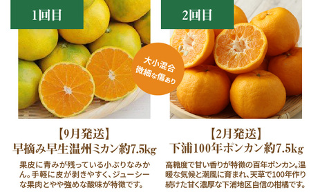 S040-018A_【訳あり 定期便5回】天草 下浦地区の農家が愛情込めて育てた柑橘5種〈先行予約〉 / 【定期便5回】 農家が愛情込めて育てた 訳あり 柑橘 5種 先行予約 早摘み 早生 温州 みかん 下浦 100年 ポンカン 不知火 パール柑 木成り晩柑 合計約35kg 楽しめる 味わい 酸味 濃厚 ジューシー さっぱり 甘さ 果物 熊本県 天草 定期便 お取り寄せ 送料無料
