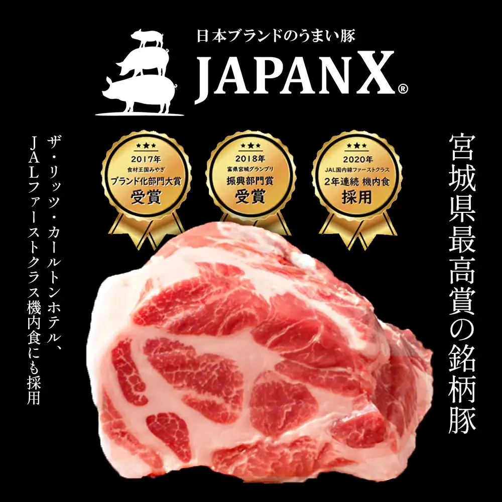 JAPAN X 味付ロース5点セット 生姜焼き2パック・山賊焼き3パック　豚肉 豚 ブランド豚 小分け ロース 豚ロース 味付 時短 生姜焼き 山賊焼き ジャパンエックス 蔵王 人気【04301-0883-4】