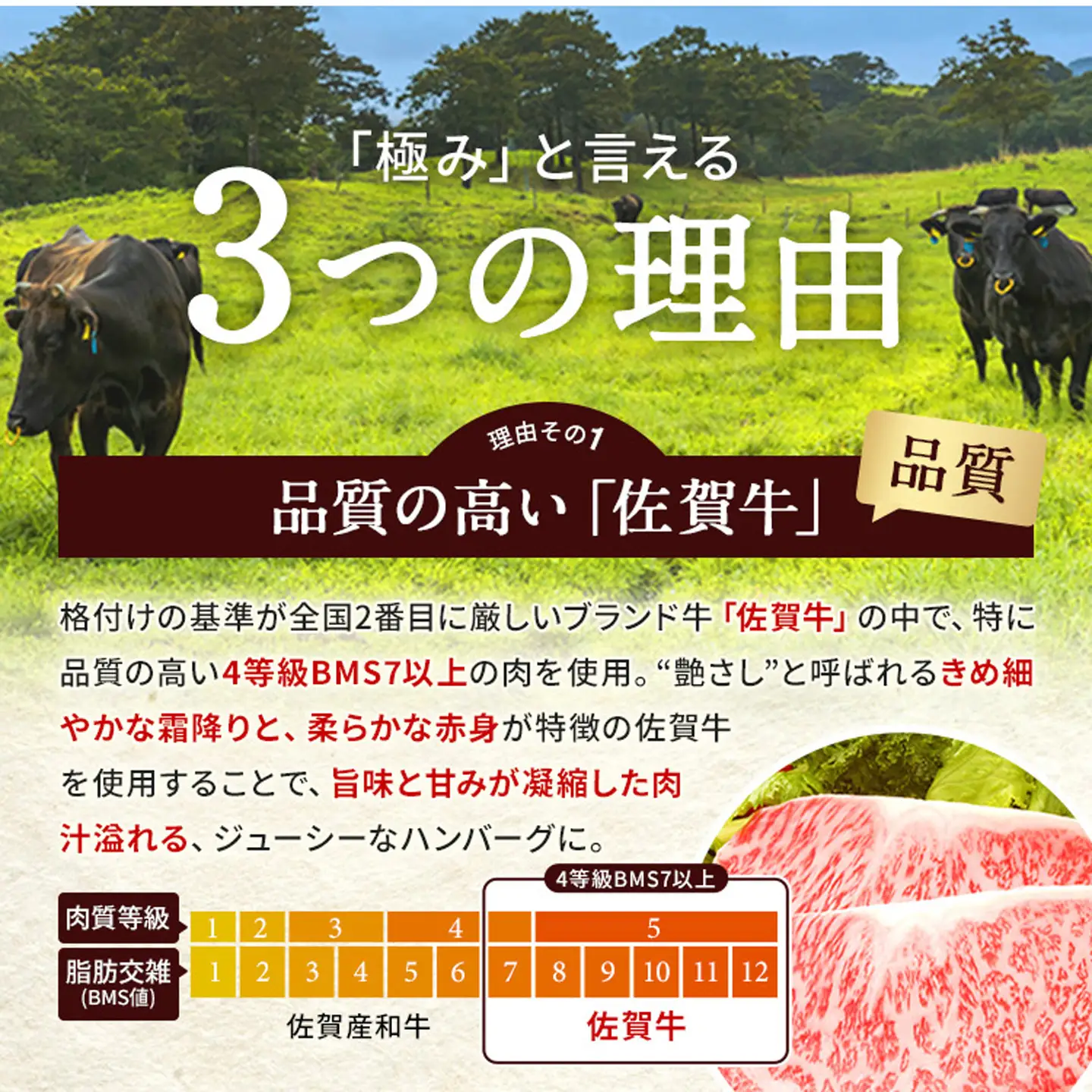 佐賀牛 使用 老舗の贅沢ハンバーグ 150g×8個 | 極みハンバーグ 1.2kg _b-471