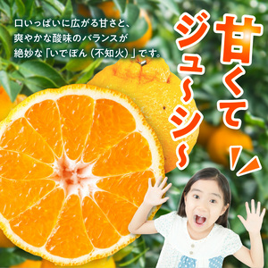 S086-002A_井手尾さん家の濃厚いでぽん 不知火 約5kg 柑橘〈先行予約〉 / 不知火 柑橘 みかん フルーツ