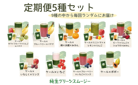 スムージー 定期便 3回 ケール 果物・野菜5種 ブルーベリー バナナ キウイフルーツ リンゴ 温州みかん ビーツ ミニトマト いちじく ポポー 冷凍 遠藤青汁 endou元気BAR 伊予市 愛媛 | E23