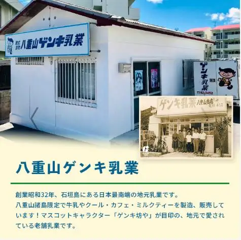 【定期便_2回】八重山ゲンキ乳業 オールスターセット　GN-2_2t