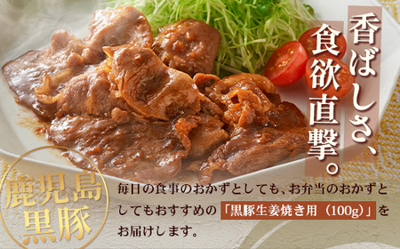 鹿児島県産 黒豚生姜焼き（100g×1パック） 味付き肉 冷凍 NS-20 | 鹿児島 黒豚 かごしま黒豚 お味見 お試し お一人様用 お肉 肉 豚肉 しょうが焼き 焼くだけ 味付き おかず お弁当 加工肉 真空パック 鹿児島県 南大隅町 南州農場