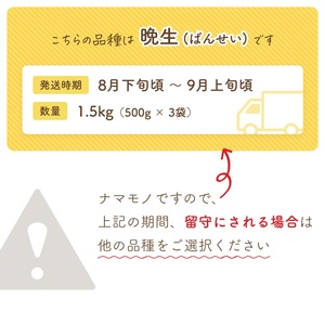 【令和8年産先行予約】だだちゃ豆　(晩生) 1.5kg　 (500g×3袋) 　だだちゃ喜左衛門株式会社　