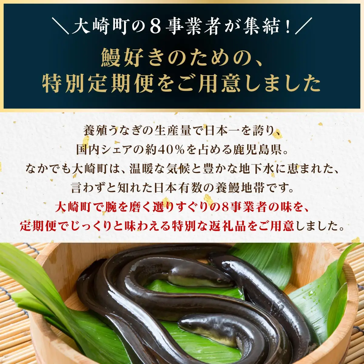 大崎町 うなぎ 食べ比べ定期便 全8回 | うなぎ
