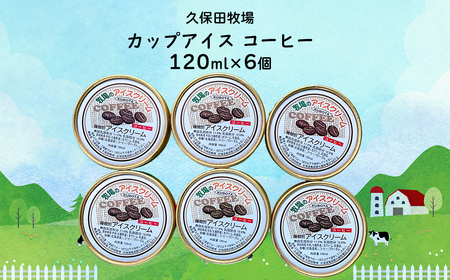 カップアイス　コーヒー 120ml×6個 NAP010